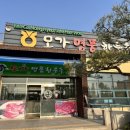 모가명품한우촌