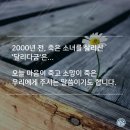 달리다굼