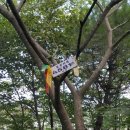 장성중앙초등학교 이미지