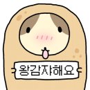광주볼링장 이미지