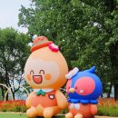 가평 자라섬 꽃페스타 후기🌸 양귀비꽃 가득한 6월 가족 나들이 강추!