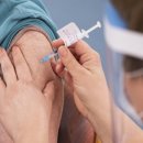 리디아 동물병원 | "임신부 코로나19 감염, 아기 신경발달장애 위험 높여" (이헬스통신)