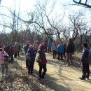 원적산길 이미지