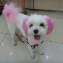 남경장호텔 이미지