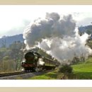 기차여행 이미지