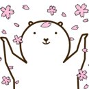 카페미재