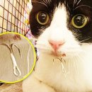 부평공원 이미지