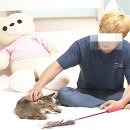 빵구석 이미지