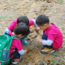 큰빛자연생태어린이집 이미지