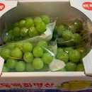 백화협동조합