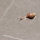 카르마호텔 이미지