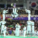 하나태권도체육관 이미지