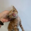 세천로4길 이미지