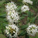 동강별아래 이미지