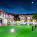 퍼피스테이 온수수영장 애견펜션 이미지