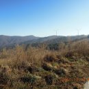 기현목장 이미지