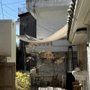 크림일기