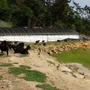 삼문농장 이미지