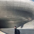 삼우화장품 | 서울 팝업 스토어 DDP 전시회 : 비더비 (B the B) 후기 ☘️✨