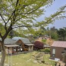 매리앤스가든민박 이미지