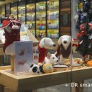 스마트동물병원 이미지