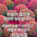 천수 이미지