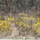 문화마을길-1 이미지