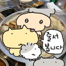 시골곱창 | 야탑소곱창 시골양지곱창 후기