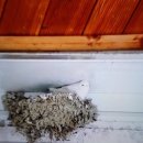 제비농장 이미지