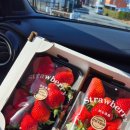 아소농장 이미지