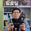 지리산과하나되기산수유마을
