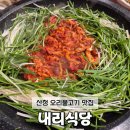 웅석봉로 | [경남/산청] 산청읍 내리식당 오리불고기 맛집 내돈내산 솔직후기