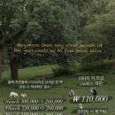 미이즈미붙임머리 - 부산진구 전포대로223번길 20 | 미이즈미붙임머리