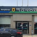 백양사농협버섯사업소 이미지