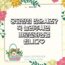 링키영어전주양현초점영어교습소 | [전주만성혁신초등영어]링키영어초등부 논픽션 리딩수업