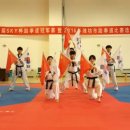 스카이 태권도 이미지