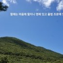 쇼맨쉽 이미지