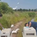 광주광역시야생동물구조관리센터 이미지