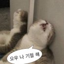앙상블 모텔 | [8월3주차] 새싹이 파랗게 돋아나는 봄철.