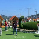 정원수퍼 이미지