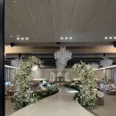 호텔퀸즈 | 대구웨딩홀투어 퀸벨호텔 브리에가든홀 프라임홀 퀸즈가든홀 견적 후기