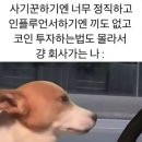 코인 이미지