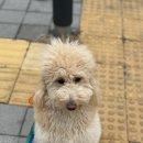호텔 오늘 이미지