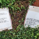 고맙습니다 | [분당사주 예서린아카데미] 상담후기 남겨주신 마음 고맙습니다.