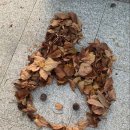 가을이 왔어요(FALL) 배경 이미지
