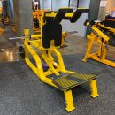 동현피트니스 인지동2호점 | 동현피트니스2호점 인지동 [ 안성헬스장. 안성헬스.안성피티.안성PT] 입고안내