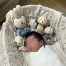 식사도서관 | 가성비 좋고 만족스럽게 보낸 백일 (장난감도서관 백일상 대여, 몽중헌 문정점 가족식사 후기)