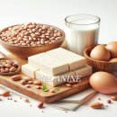 더 나인 휘트니스 이미지