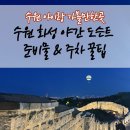 달빛여관 | 수원 아이랑 가볼만한곳, 수원화성 야간 도슨트 투어 밤에 더 빛나는 리얼 후기