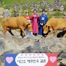 한우 이미지